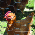 1/2x1/2 PVC coated hexagonal netting for chicken cage